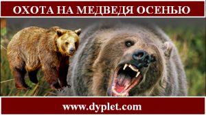 Охота на медведя осенью