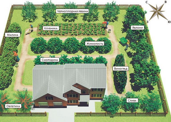 план высадки деревьев в саду на участке