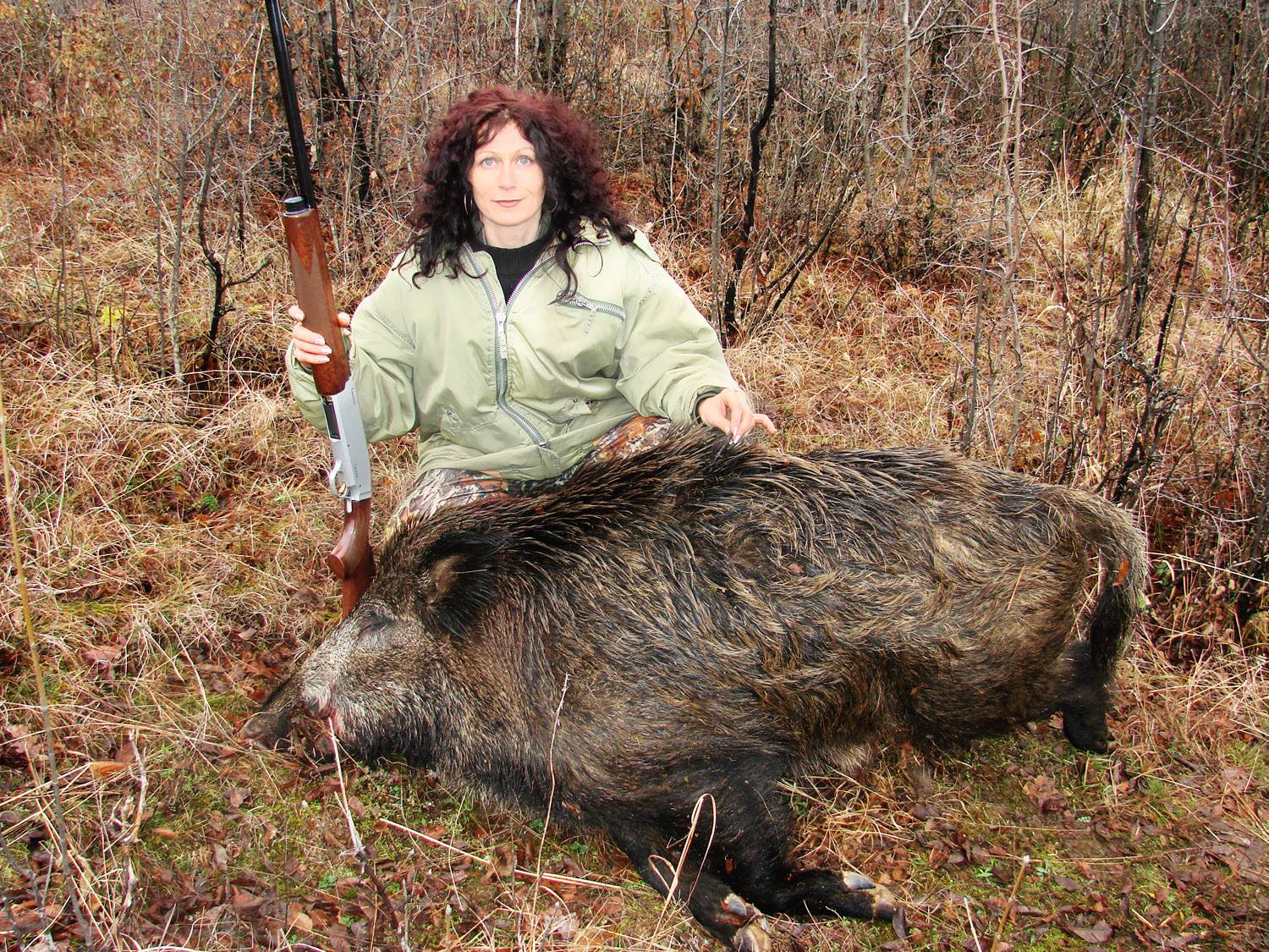 Охота на кабана, кабан после выстрела, добор кабана, признаки ранения кабана