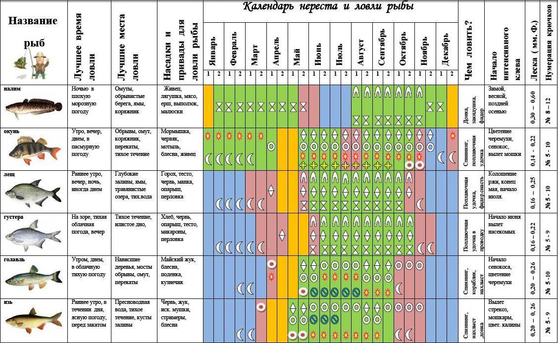 График ловли рыбы