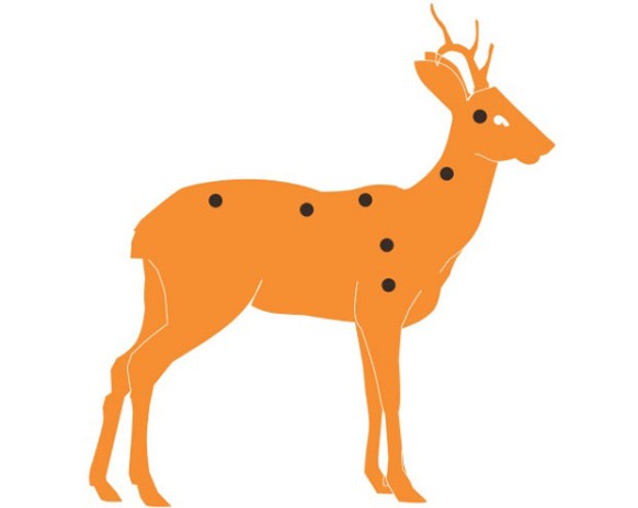 Убойные места косули