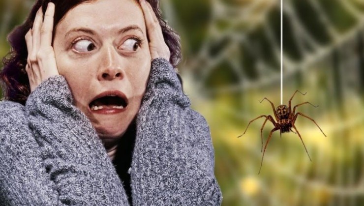 арахнофобия