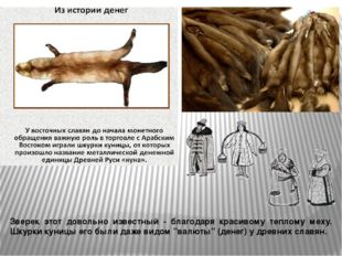 Зверек этот довольно известный - благодаря красивому теплому меху. Шкурки кун