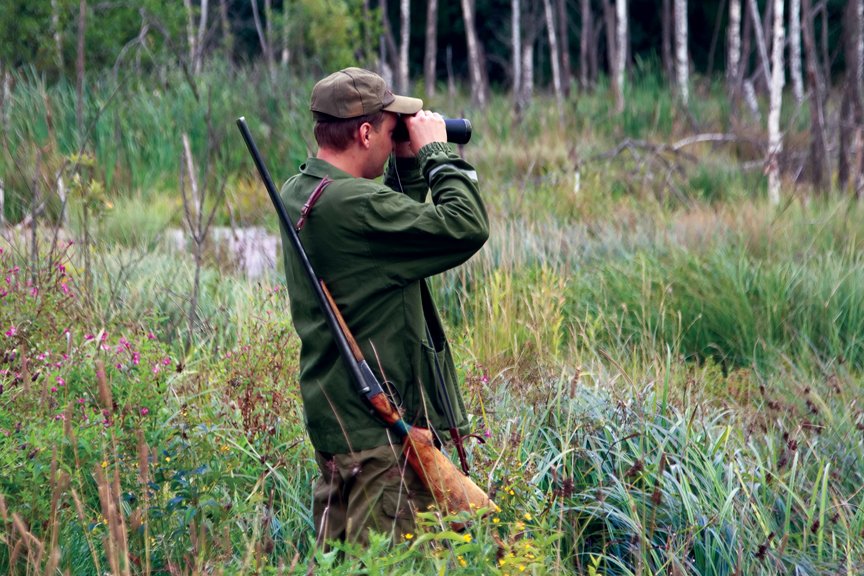 kak-ohotitsja-na-zajca