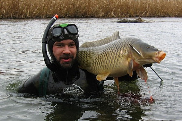 Что нужно знать о подводной охоте на сома. 15120.jpeg