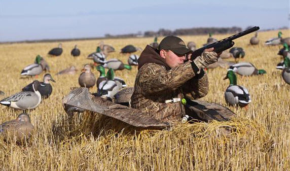 засада для охоты на гусей
