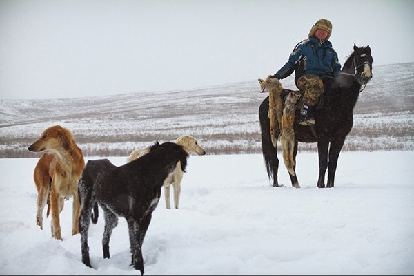 Коллективная охота с борзыми
