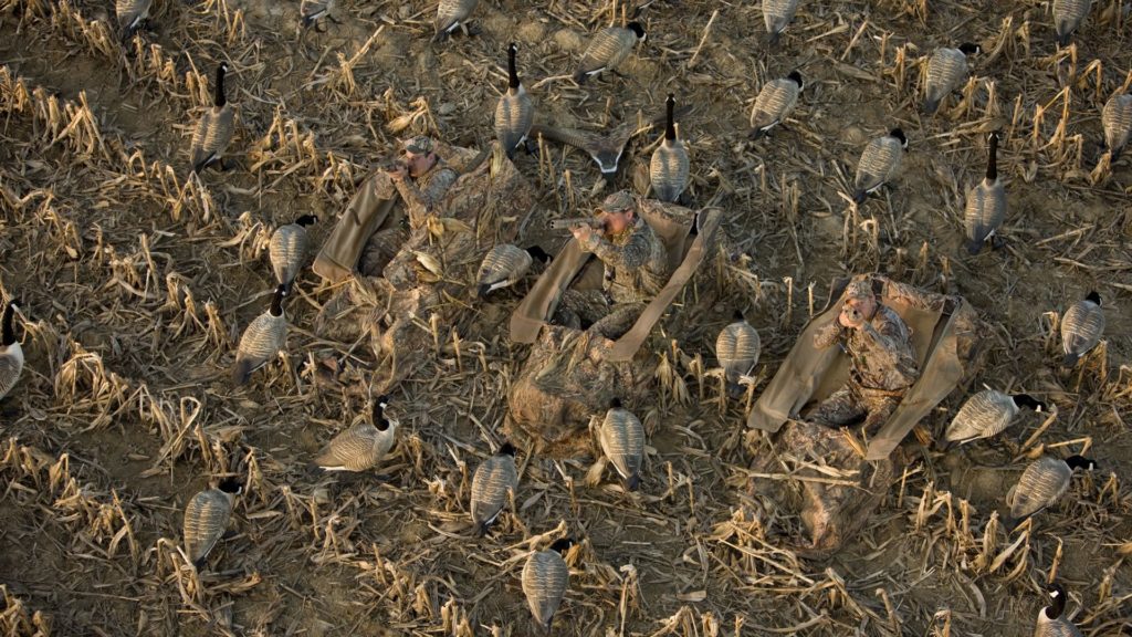 охота на гуся