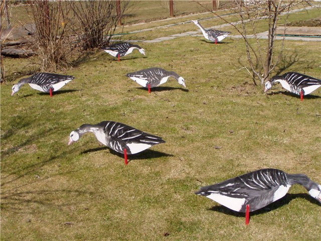 чучела гусей