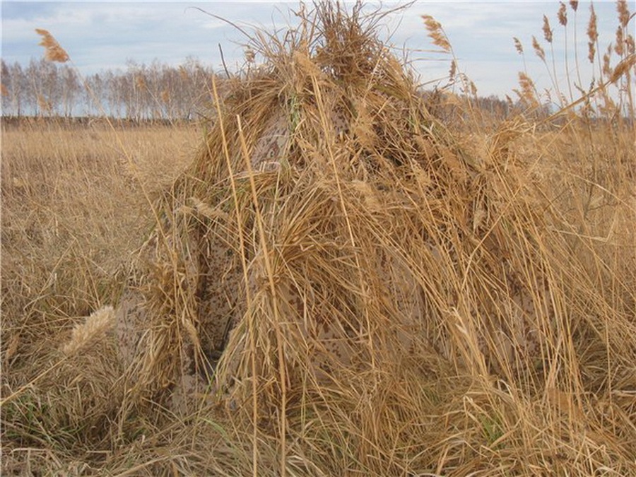 засидка для гуся