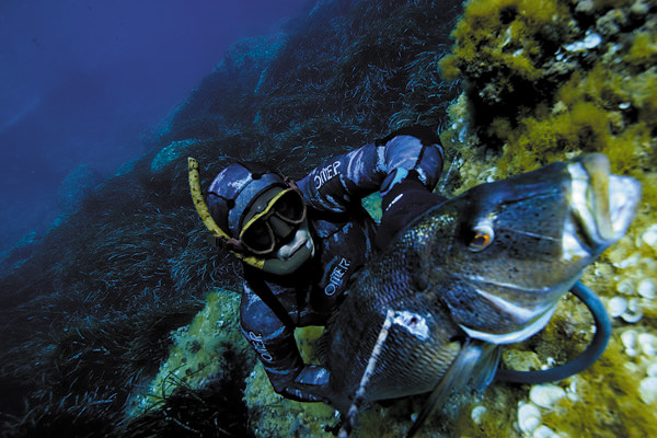 Подводный охотник