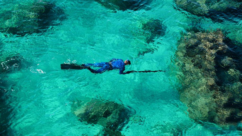 Вид сверху на подводного охотника.