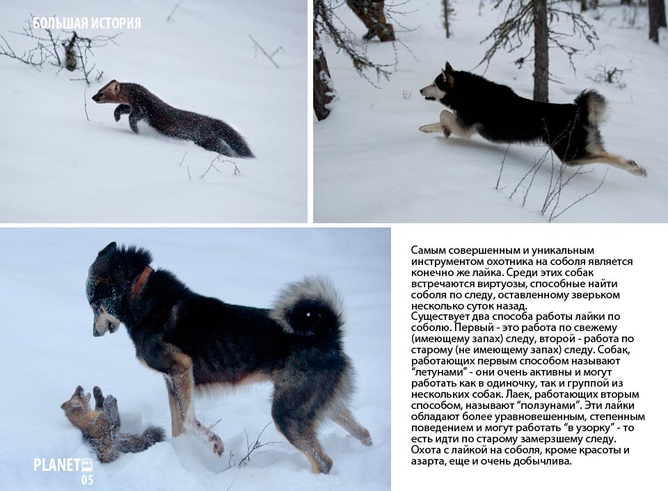 2___8s5m2ya8algal2vjt159