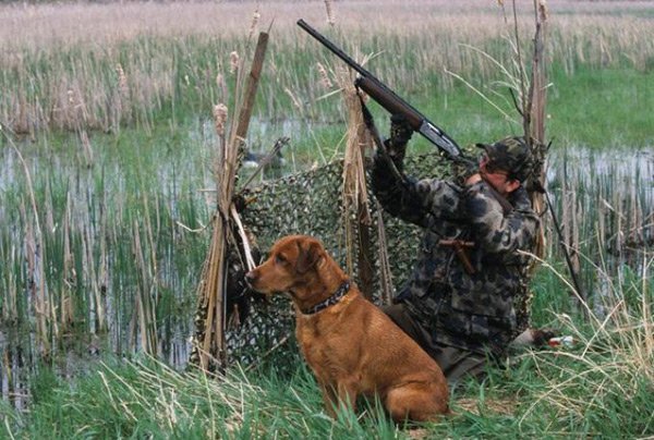 охотник в укрытии