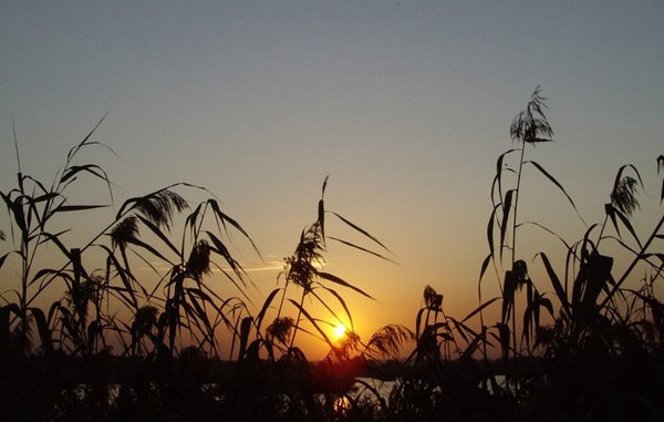 утренняя заря