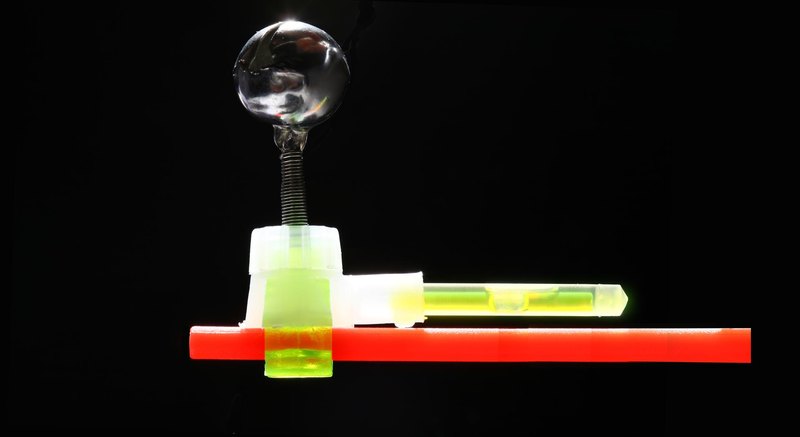 Какая рыба клюет ночью