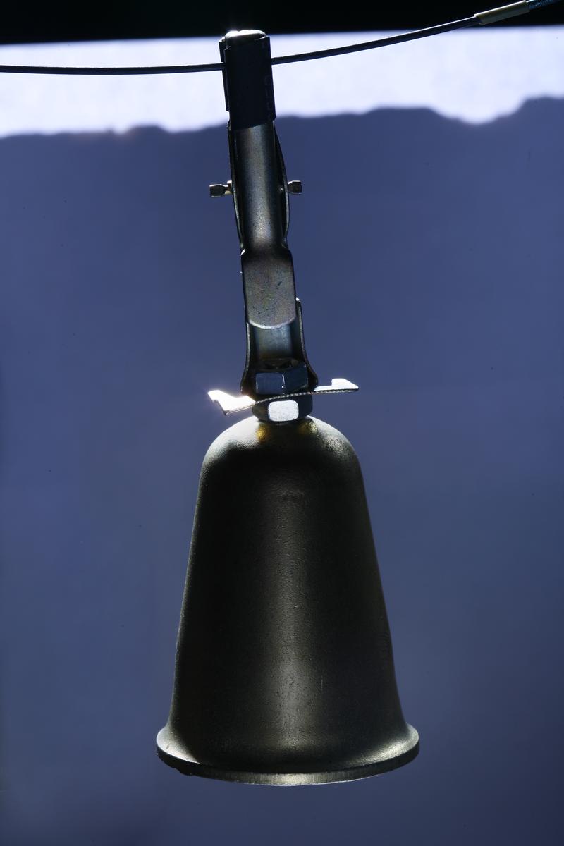 Какая рыба клюет ночью