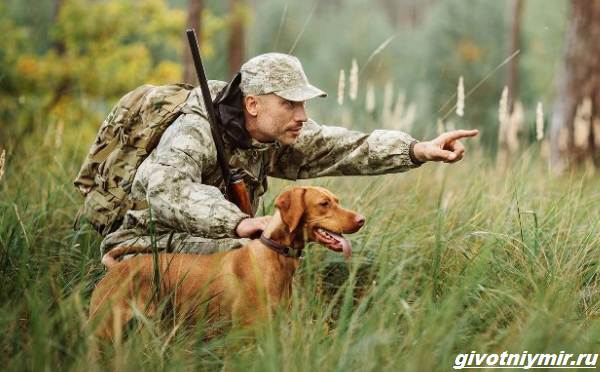 Охота-на-глухаря-разными-способами-3