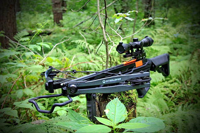 Арбалет для охоты