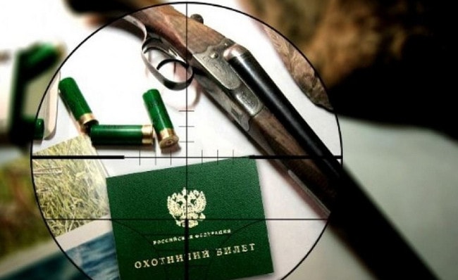 Охотничий билет