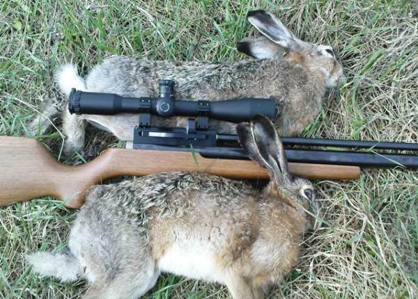 Оружие и трофеи охотника