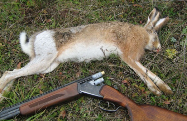 Трофей охотника