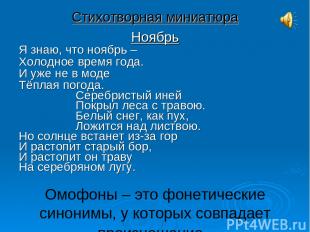 Омофоны – это фонетические синонимы, у которых совпадает произношение. Стихотвор