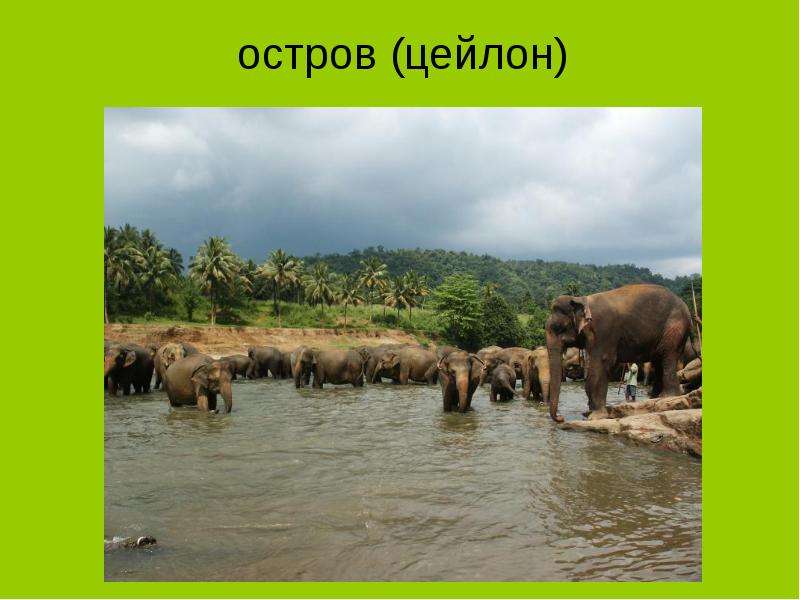 Словарный диктант &laquo;Имена собственные и нарицательные&raquo;, слайд №12