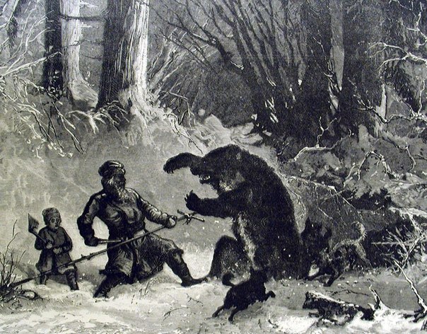 Охота на медведя, медведь, медведи Карелии, охота на медведя на берлоге, охота на медведя с рогатиной, охота на медведя на овсах, охота на медведя в древности, медвежья свадьба, ритуал охоты на медведя, как охотились на медведя на Руси, народные верования о медведе
