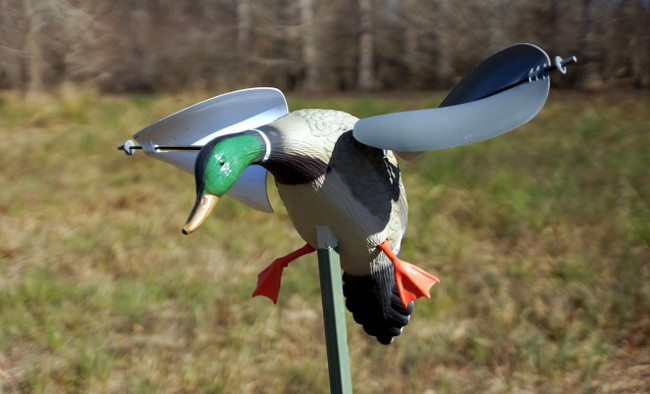 Механическое чучело утки