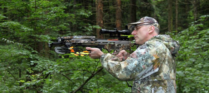 Охота на кабана с арбалетом – интересное видео