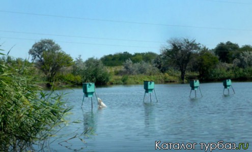 База отдыха &laquo;Эксклюзивная рыбалка&raquo;