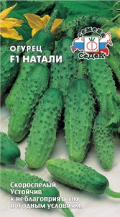 Минимальная температура для рассады огурцов.