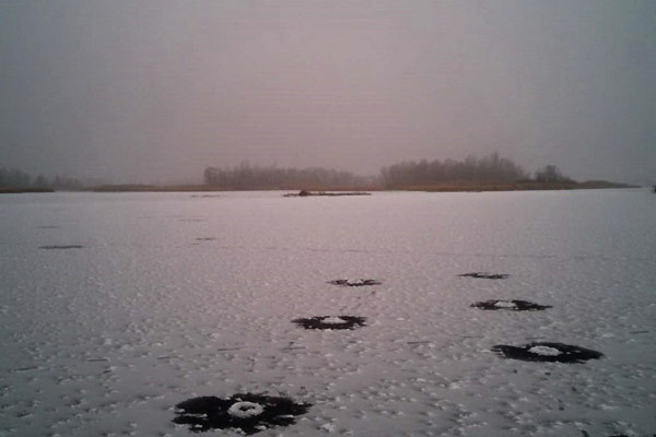 стоянки щуки