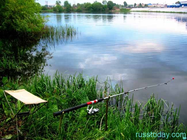 какой будет клев?