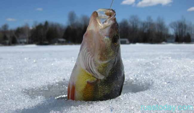 меня словили