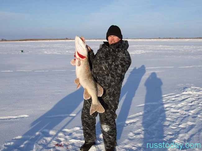 ловись, рыбка