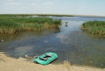 Лысый лиман фото