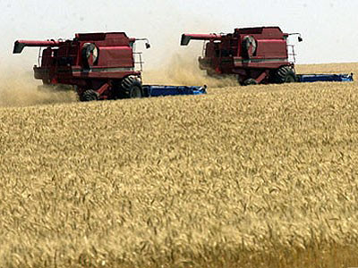 Осенняя погода для сельского хозяйства стала проблемой