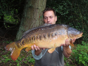 Зеркальный карп