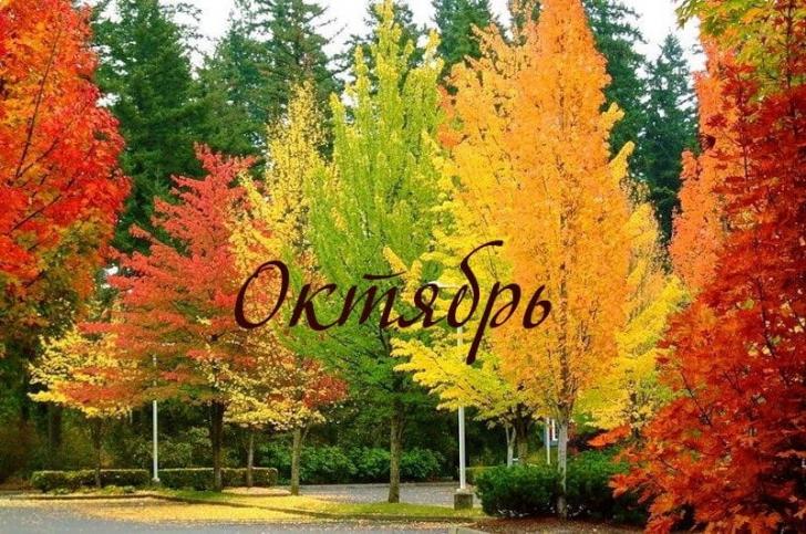 Погода октября - прогноз Гидрометцентра, Гисметео сегодня