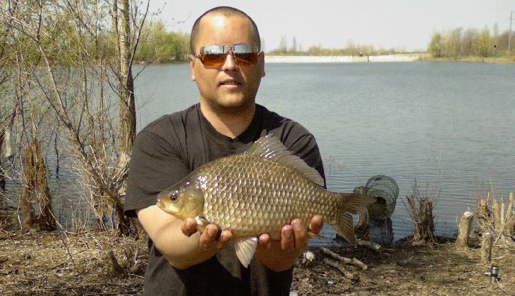 фото карася