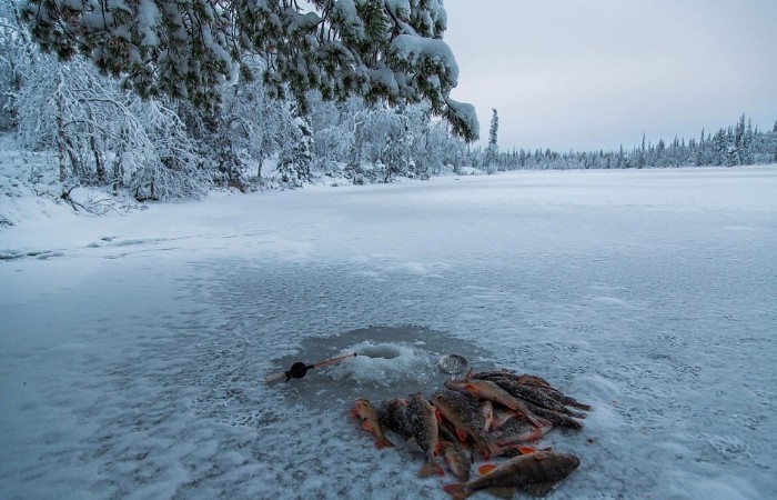 Предсказываем успешную зимнюю рыбалку по погоде!