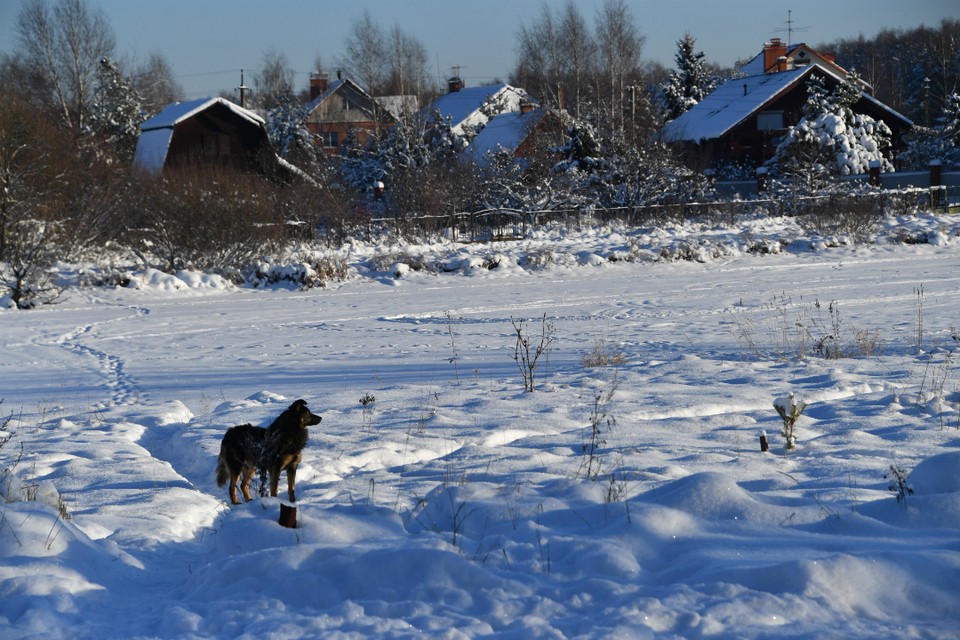 Перед наступлением зимы обязательно утепляли избы