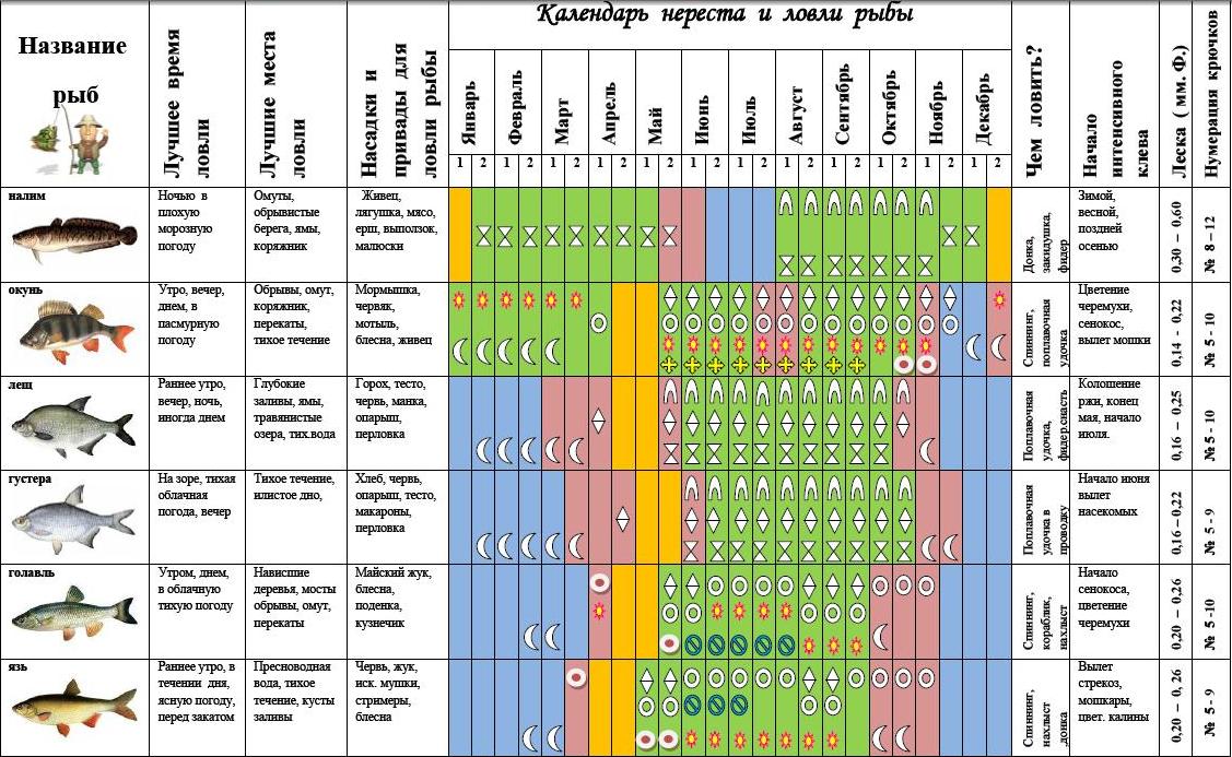 График ловли рыбы