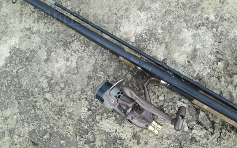 Учимся ловить на фидер или первые шаги в мир рыбалки