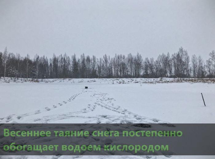 По последнему льду