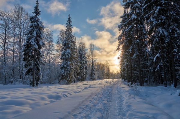 Церковный праздник 15 декабря