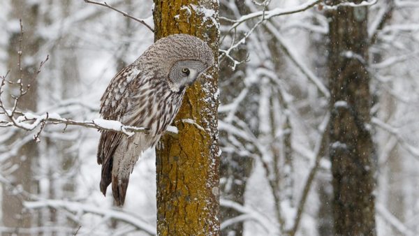 Праздник 24 января