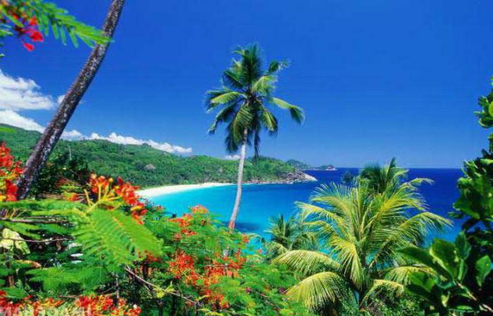 смена климата для ребенка